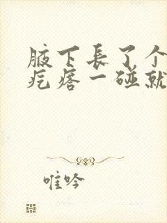 腋下长了个小红疙瘩一碰就疼