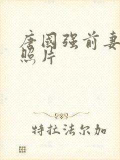 唐国强前妻孙涛照片