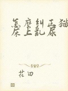 怎么纠正猫咪在床上乱尿