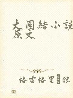 大团结小说阅读原文