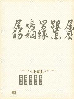 属鸡男跟属鸡女的姻缘怎么样