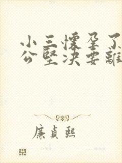 小三怀孕了,老公坚决要离婚