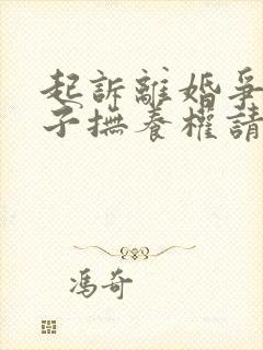 起诉离婚争取孩子抚养权请律师费用多少钱封面