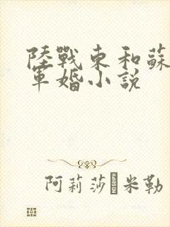 陆战东和苏灿的军婚小说封面
