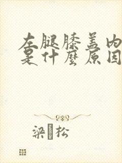 左腿膝盖内侧疼是什么原因引起的