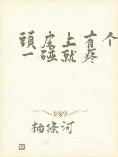 头皮上有个疙瘩一碰就疼