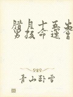 腊月十五出生的男孩命运会怎样