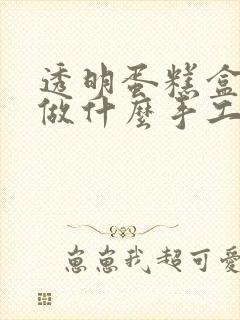 透明蛋糕盒可以做什么手工