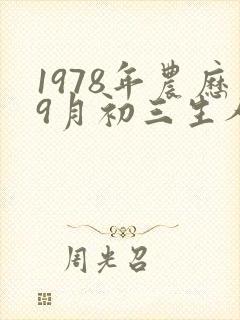 1978年农历9月初三生人命运