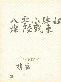 八零小胖妞 苏灿 陆战东