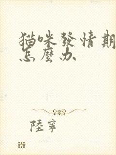 猫咪发情期乱尿怎么办