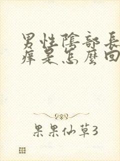 男性阴部长疙瘩痒是怎么回事