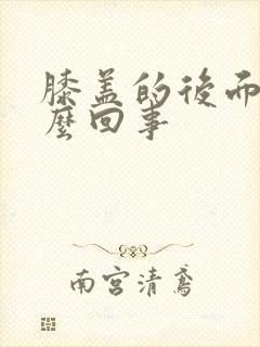 膝盖的后面疼怎么回事