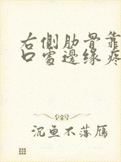 右侧肋骨靠近胸口处边缘疼