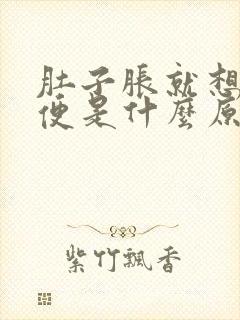 肚子胀就想上大便是什么原因