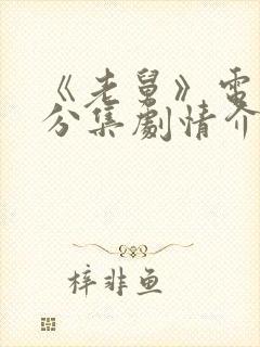 《老舅》电视剧分集剧情介绍