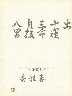 八月三十出生的男孩命运