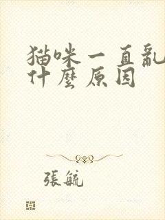 猫咪一直乱尿是什么原因