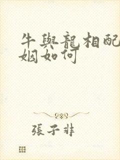 牛与龙相配的婚姻如何