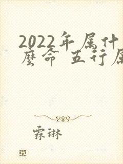 2022年属什么命 五行属什么封面
