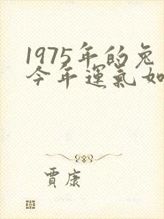 1975年的兔今年运气如何
