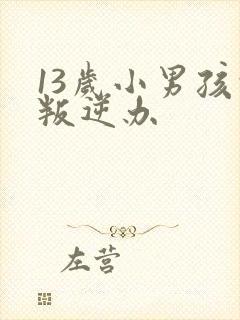 13岁小男孩的叛逆办封面