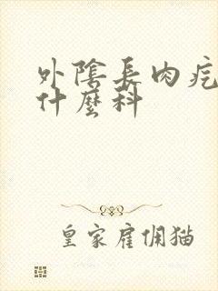 外阴长肉疙瘩挂什么科