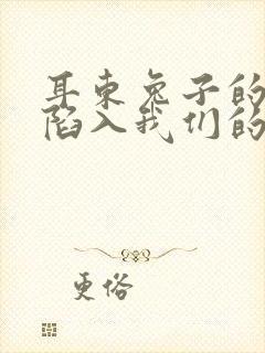 耳东兔子的小说陷入我们的热恋