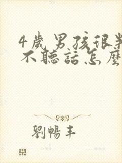 4岁男孩很叛逆不听话怎么办