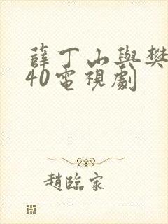 薛丁山与樊梨花40电视剧