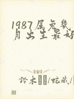 1987属兔几月出生最好命运封面