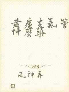 黄痰支气管炎吃什么药