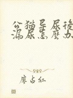 公猫导尿后一直漏尿怎么办