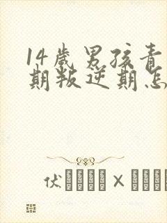 14岁男孩青春期叛逆期怎么办封面