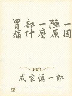 胃部一阵一阵的痛什么原因封面