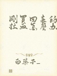 刚买回来的狗狗拉血怎么办