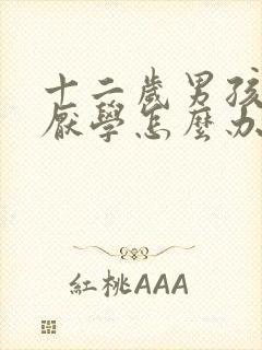 十二岁男孩叛逆厌学怎么办