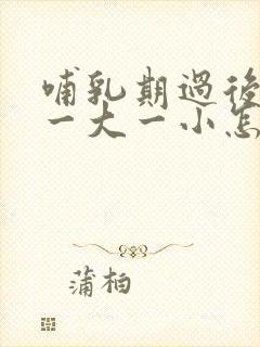 哺乳期过后胸部一大一小怎么办封面