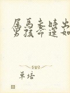 属马未时出生的男孩命运如何