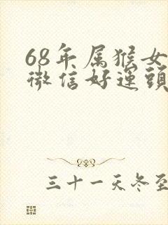 68年属猴女的微信好运头像封面