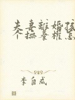 夫妻离婚孩子两个抚养权怎么判定