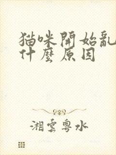 猫咪开始乱尿是什么原因封面