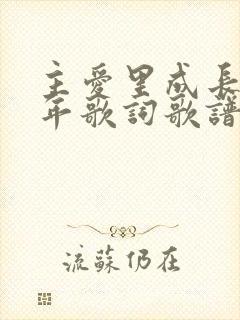 主爱里成长又一年歌词歌谱