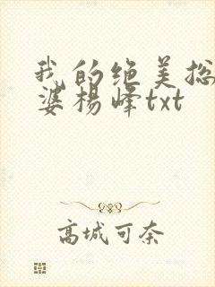 我的绝美总裁老婆杨峰txt