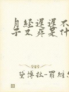 月经迟迟不来肚子又疼是什么原因