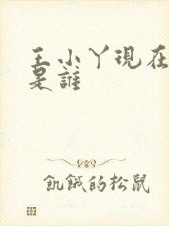 王小丫现在老公是谁