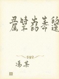 丑时出生的男孩属羊的命运如何封面