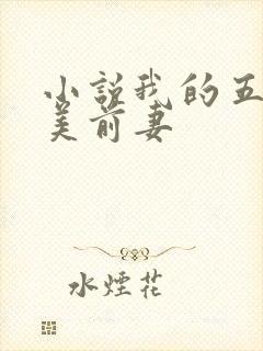 小说我的五个绝美前妻