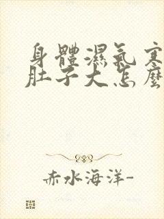 身体湿气寒气重肚子大怎么办