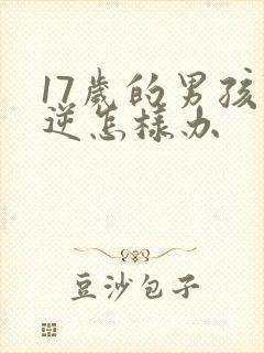 17岁的男孩叛逆怎样办